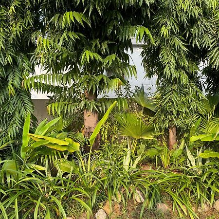 The Bougainvillea Cottage Farmstay Near Dehradun , 2 Bedroom Private Cottage Next To Fields And Orchards With Hill Views Экстерьер фото