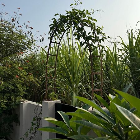 The Bougainvillea Cottage Farmstay Near Dehradun , 2 Bedroom Private Cottage Next To Fields And Orchards With Hill Views Экстерьер фото
