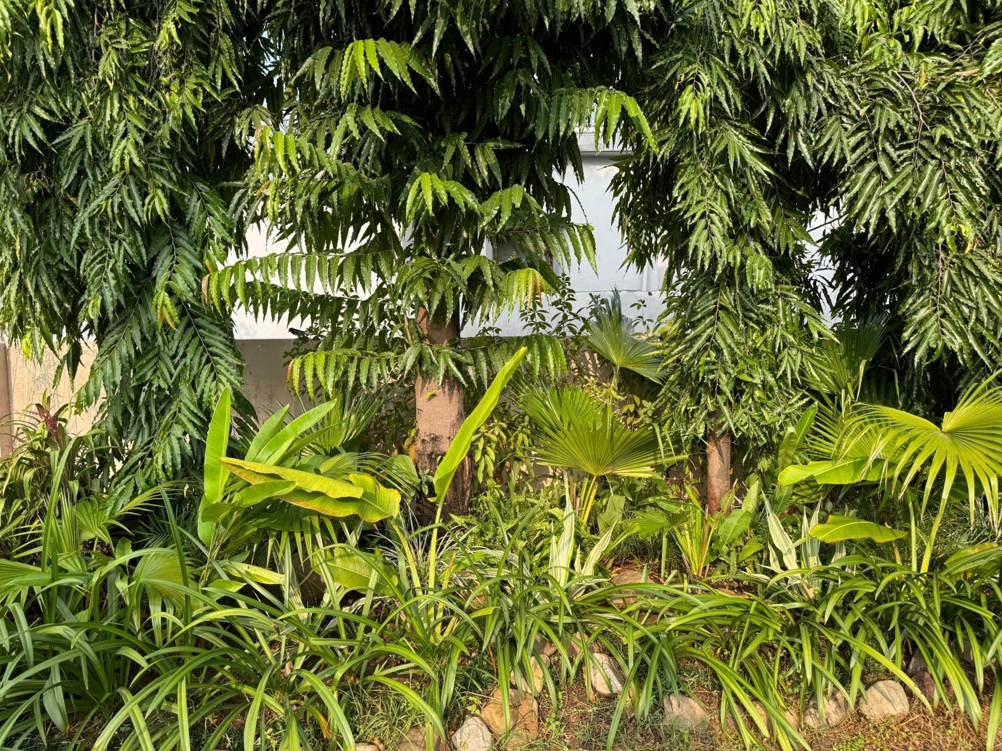 The Bougainvillea Cottage Farmstay Near Dehradun , 2 Bedroom Private Cottage Next To Fields And Orchards With Hill Views Экстерьер фото