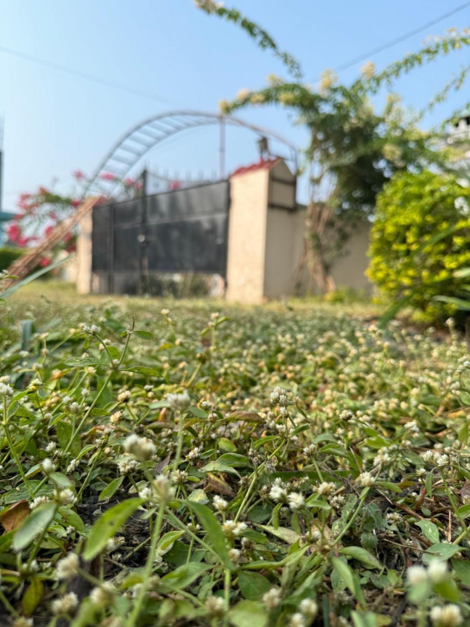 The Bougainvillea Cottage Farmstay Near Dehradun , 2 Bedroom Private Cottage Next To Fields And Orchards With Hill Views Экстерьер фото